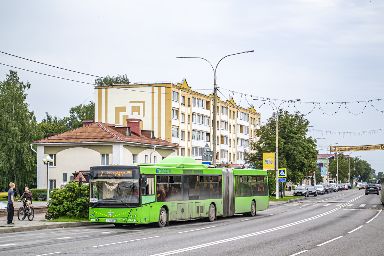 Zhlobin, MAZ-215.069 # 20419