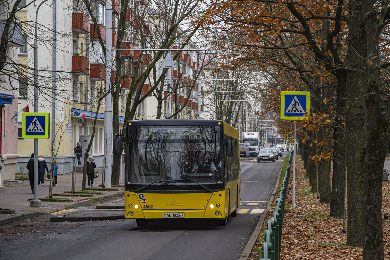 Minsk, MAZ-203.065 # 045012