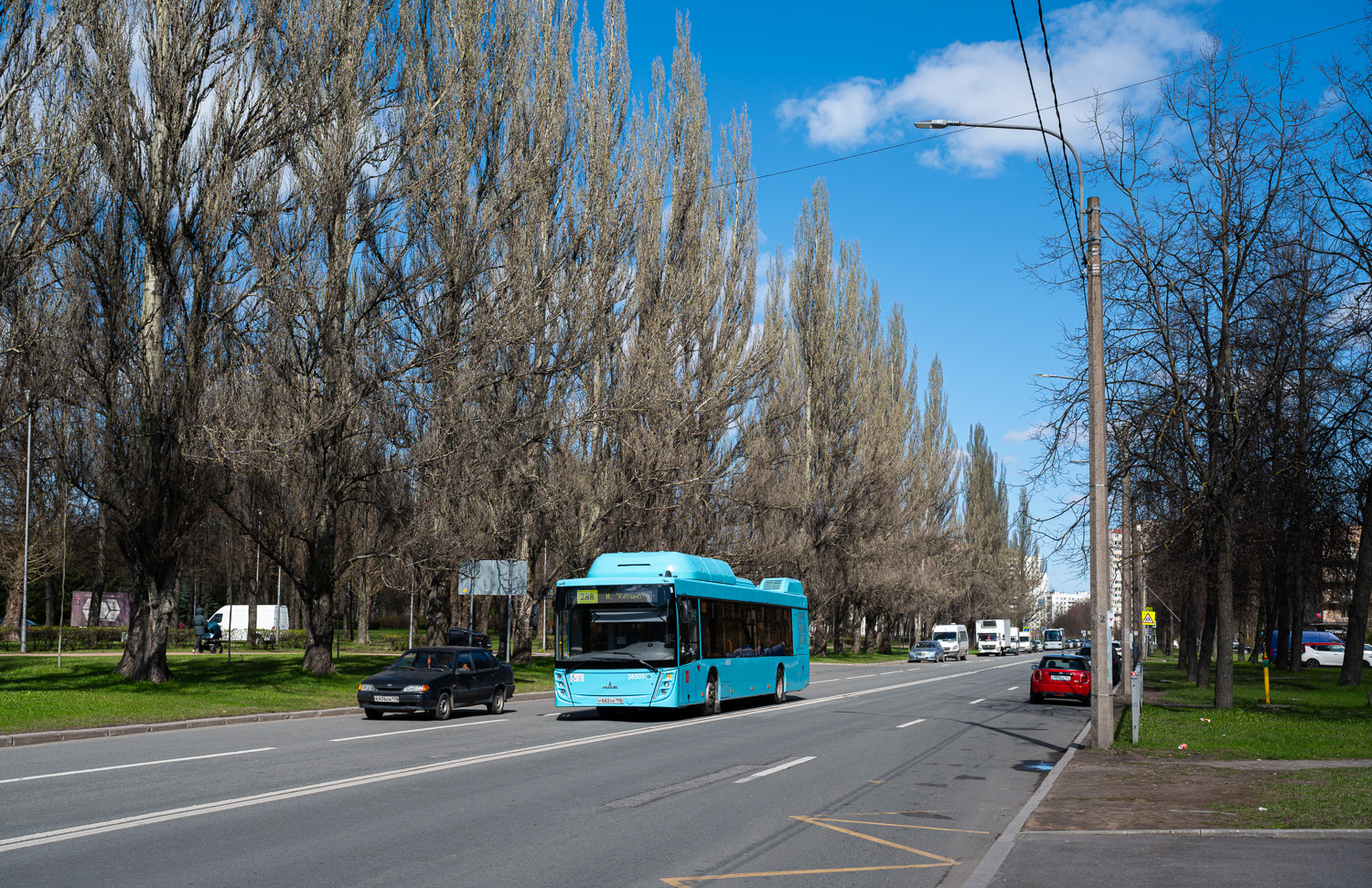 Saint Petersburg, MAZ-203.948 # 38503