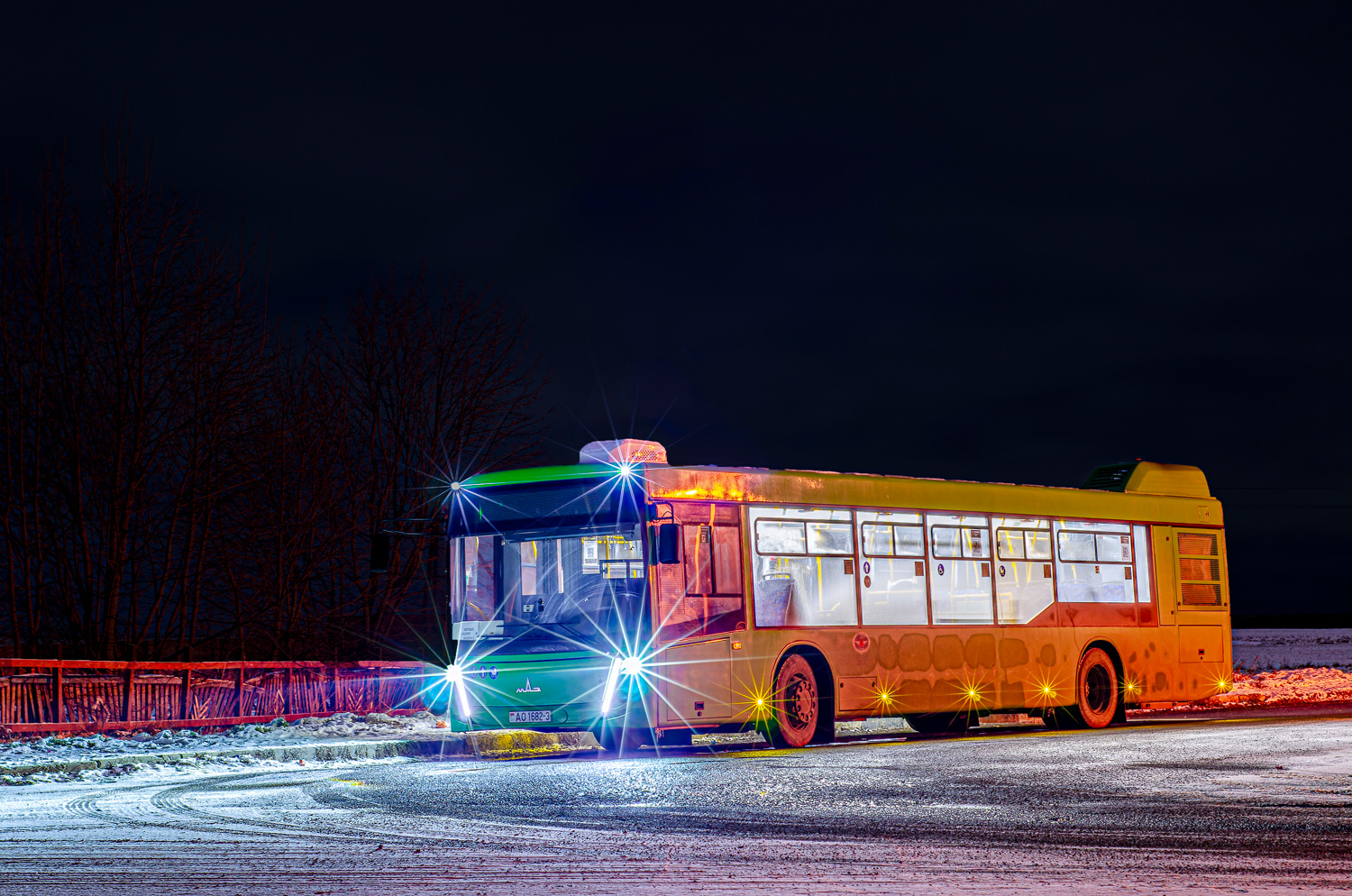 Gomiel, MAZ-203.047 # 016331
