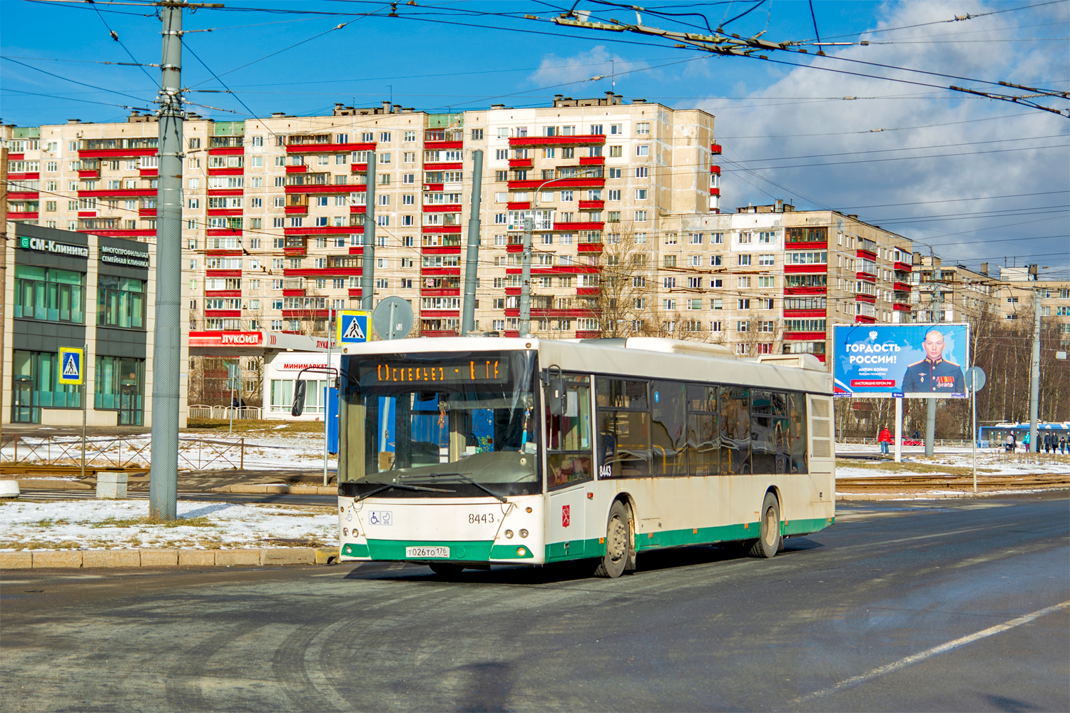 Saint Petersburg, MAZ-203.085 # 8443