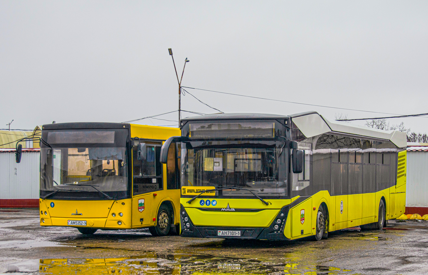 Баранавічы, МАЗ-303.065 № 10250