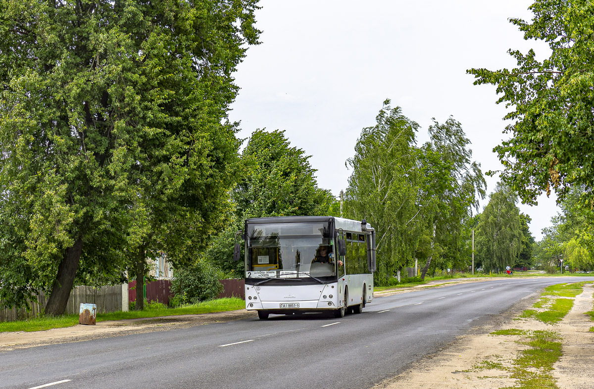 Ivanava, MAZ-206.067 # 64998