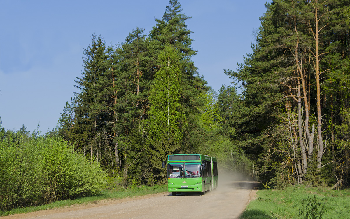 Polack, MAZ-105.465 # 020095