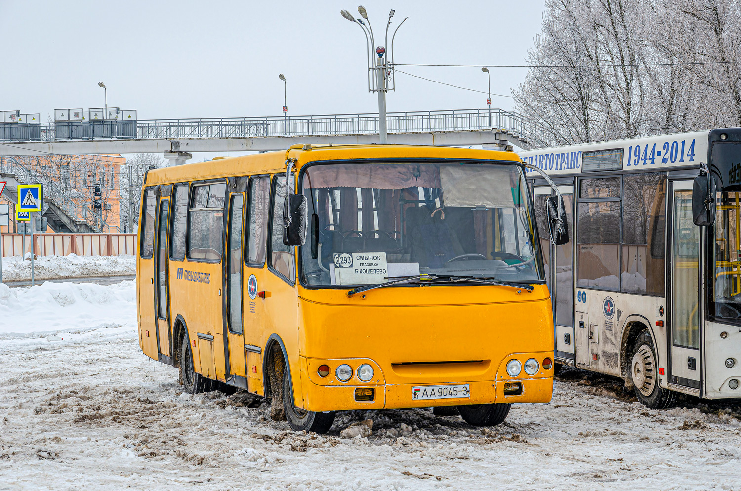 Gomel region, GARZ A092 "Radimich" # 036153