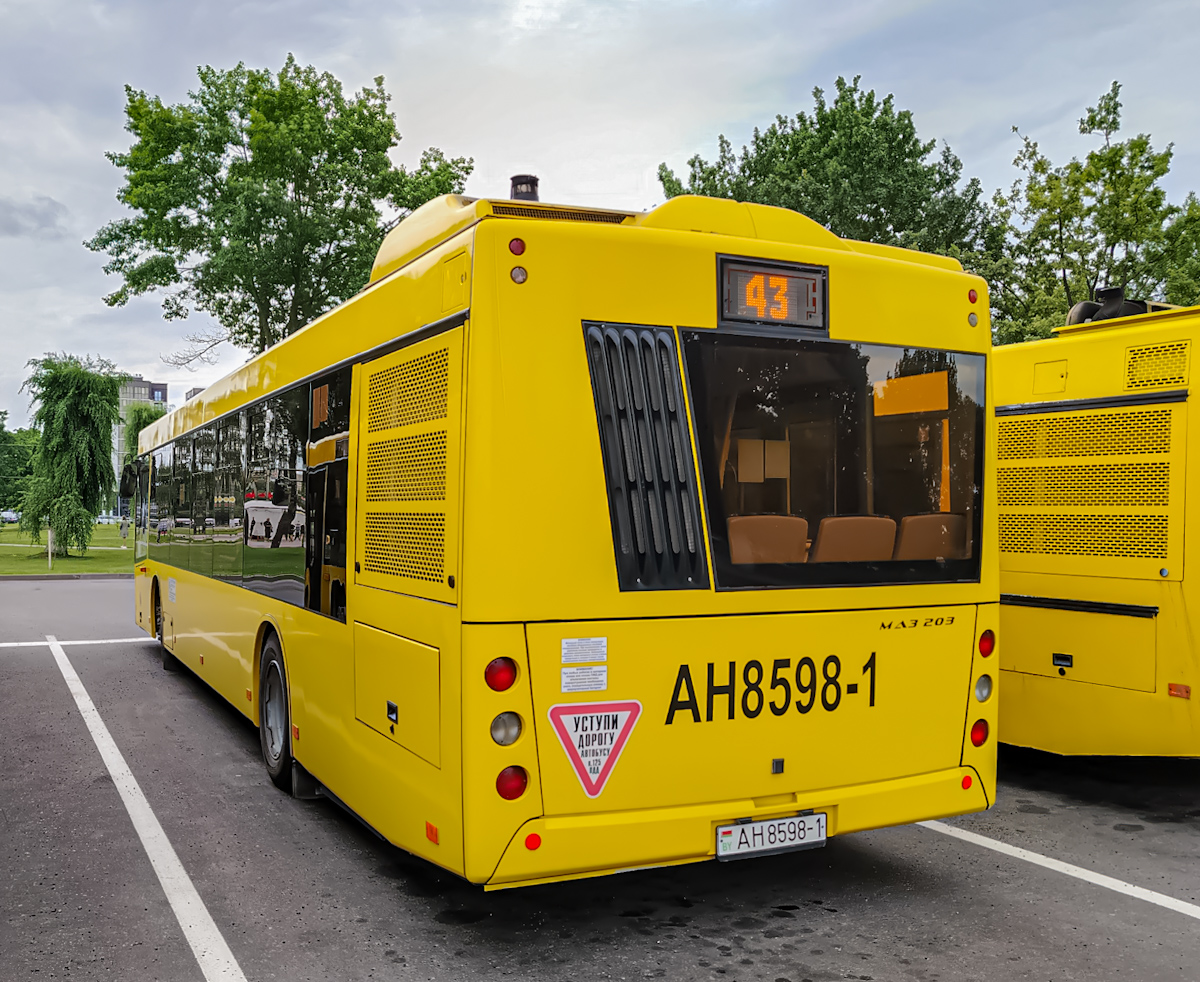 Pinsk, MAZ-203.016 # 45322
