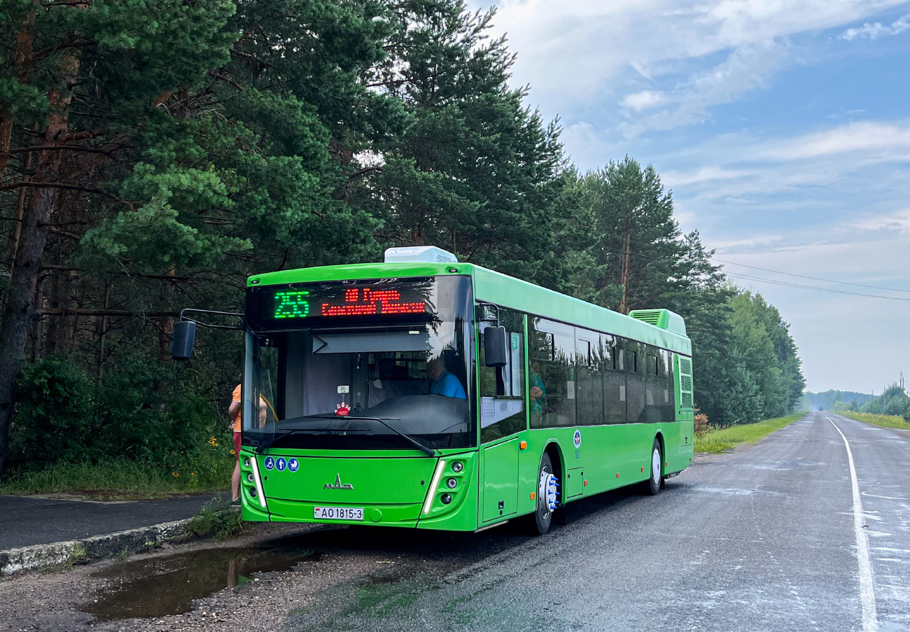Gomiel, MAZ-203.047 # 016357