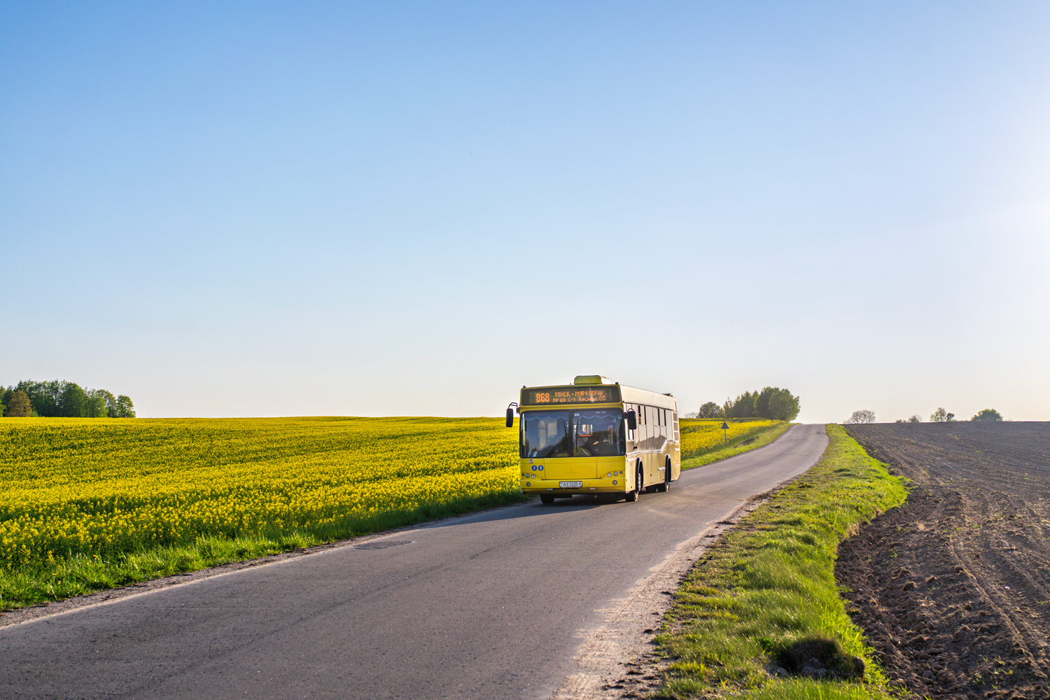 Lagojsk, MAZ-103.562 # АХ 5205-5