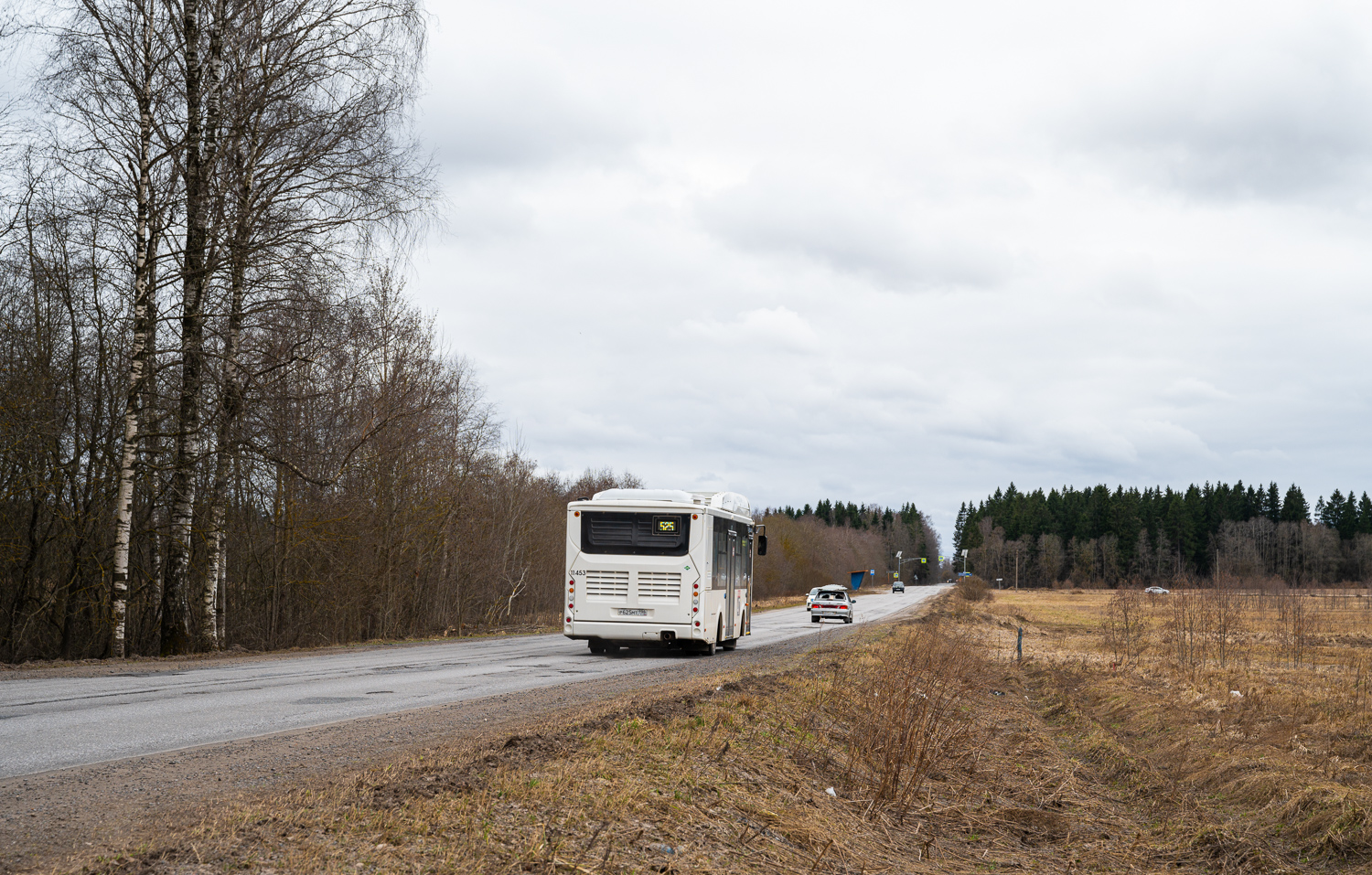 Gatchina, Volgabus-4298.G4 (CNG) # 11453