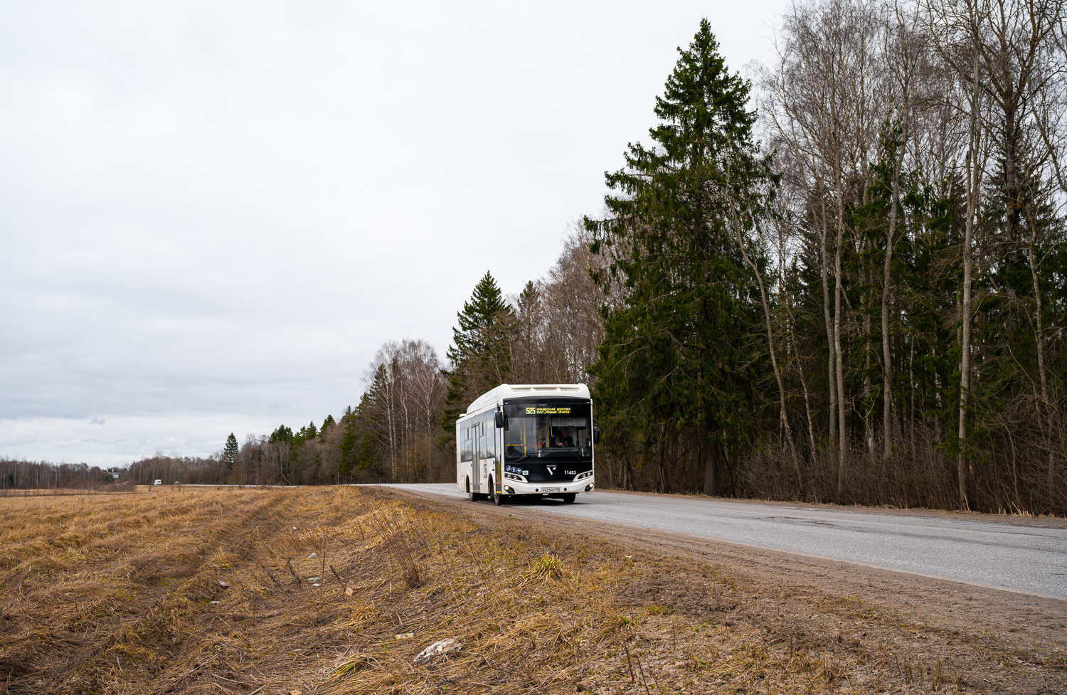 Gatchina, Volgabus-4298.G4 (CNG) # 11453