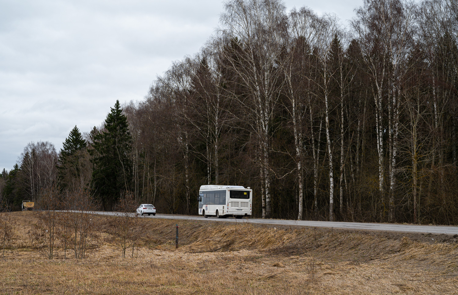 Gatchina, Volgabus-4298.G4 (CNG) # 11489