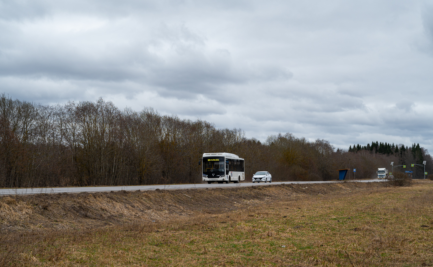 Gatchina, Volgabus-4298.G4 (CNG) # 11489
