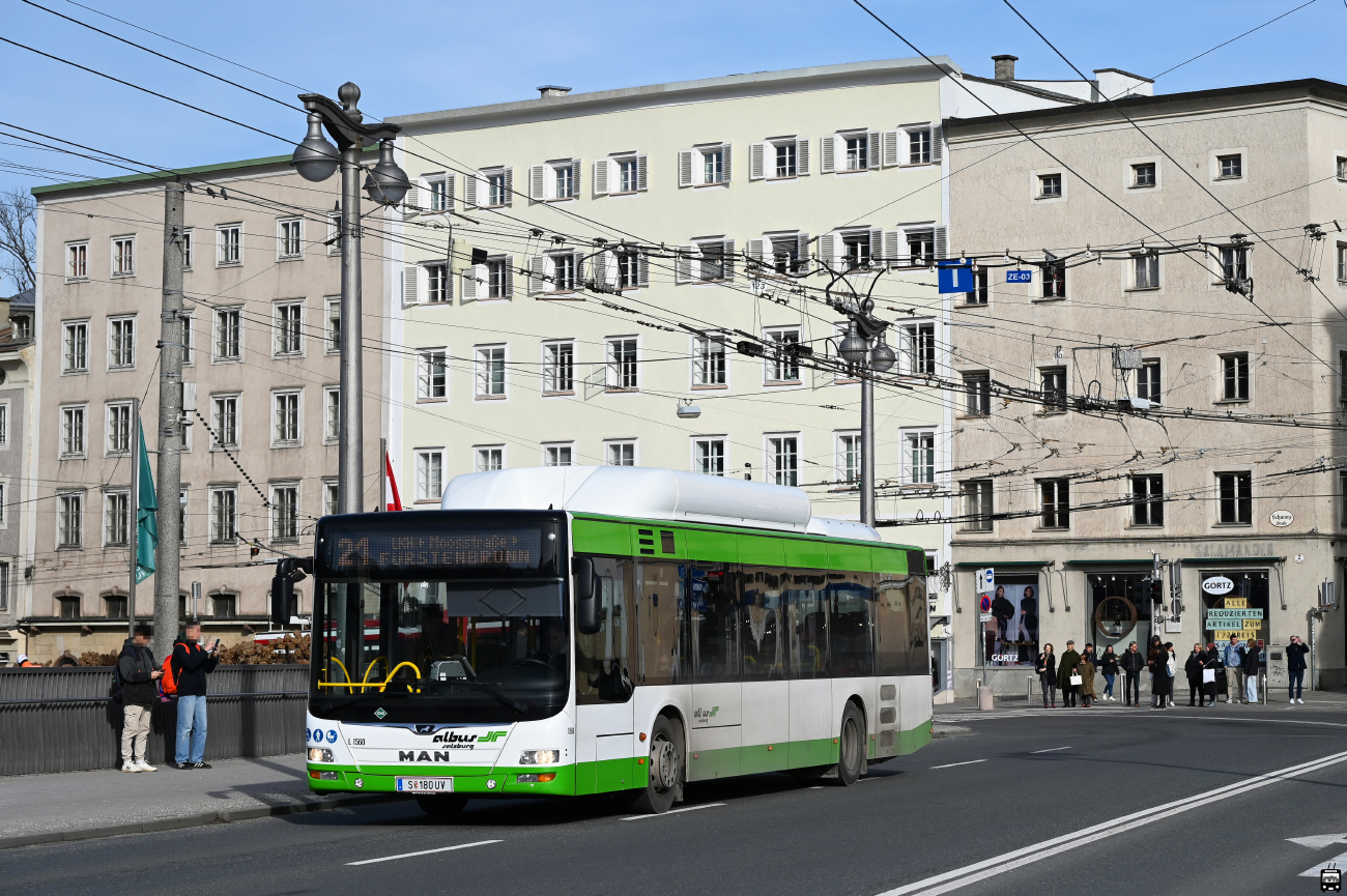 Salzburg, MAN A21 Lion's City NL313 CNG # L1560