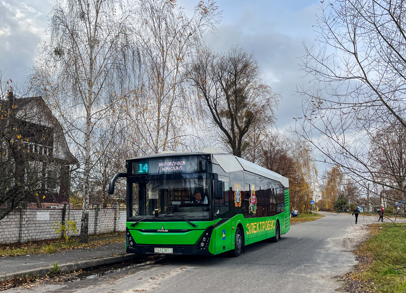 Gomiel, MAZ-303.E10 # 26451