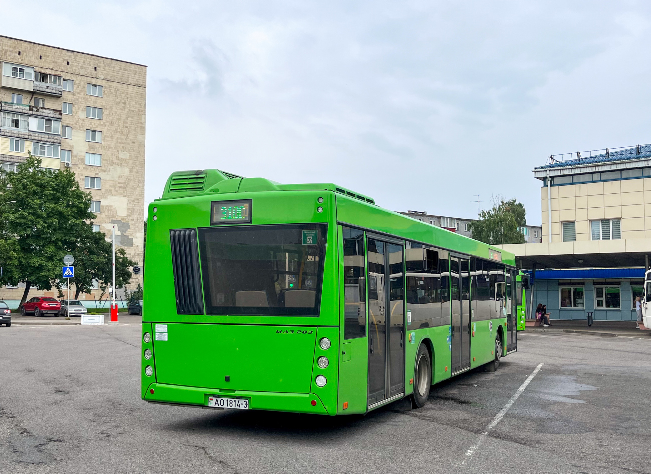 Gomiel, MAZ-203.047 # 037389