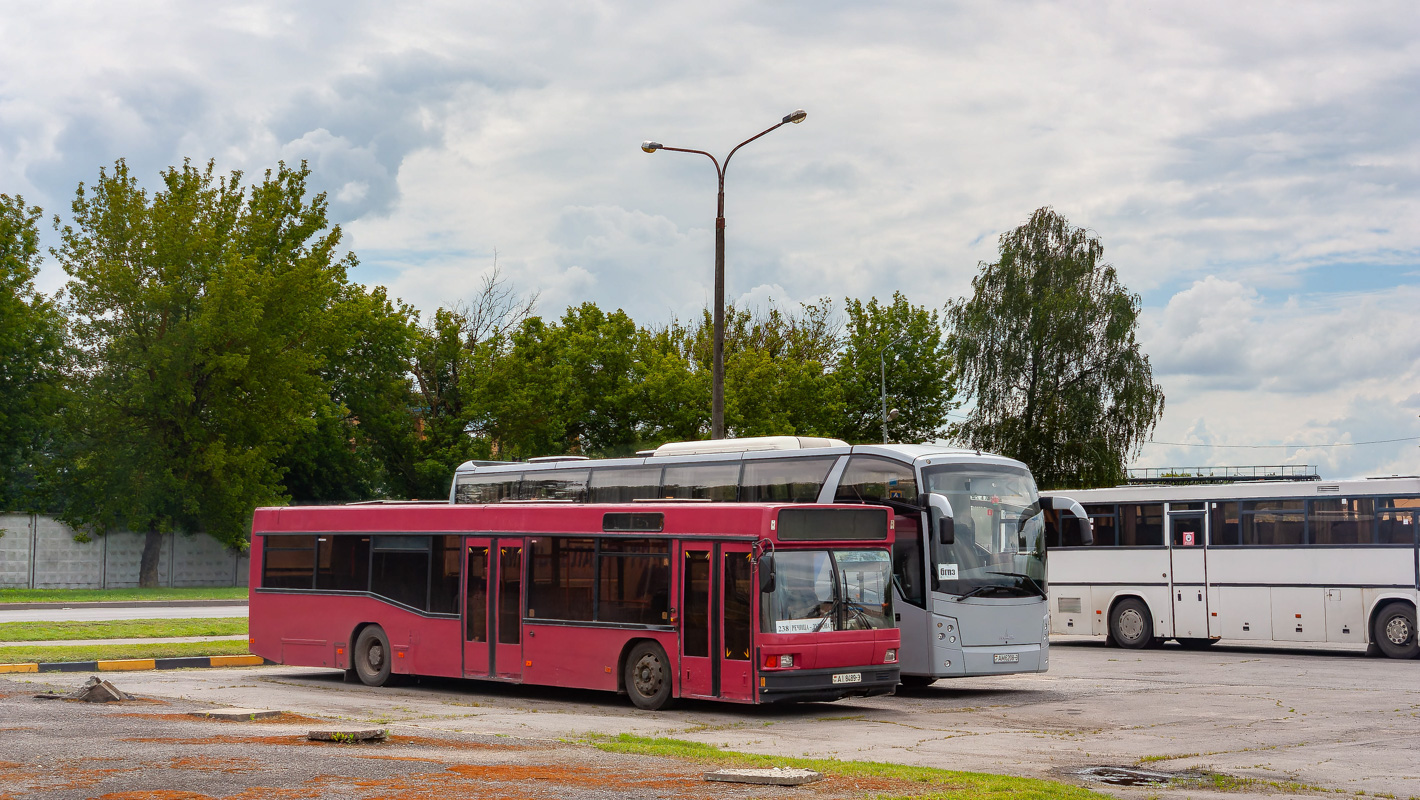 Rechyca, MAZ-103.С62 # 013544