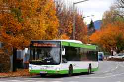 8231 KB