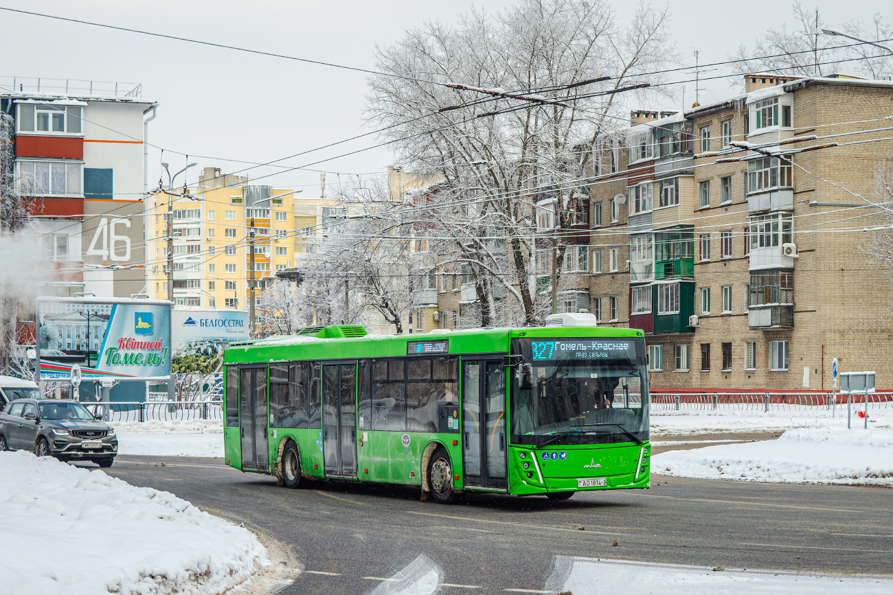 Gomiel, MAZ-203.047 # 037389