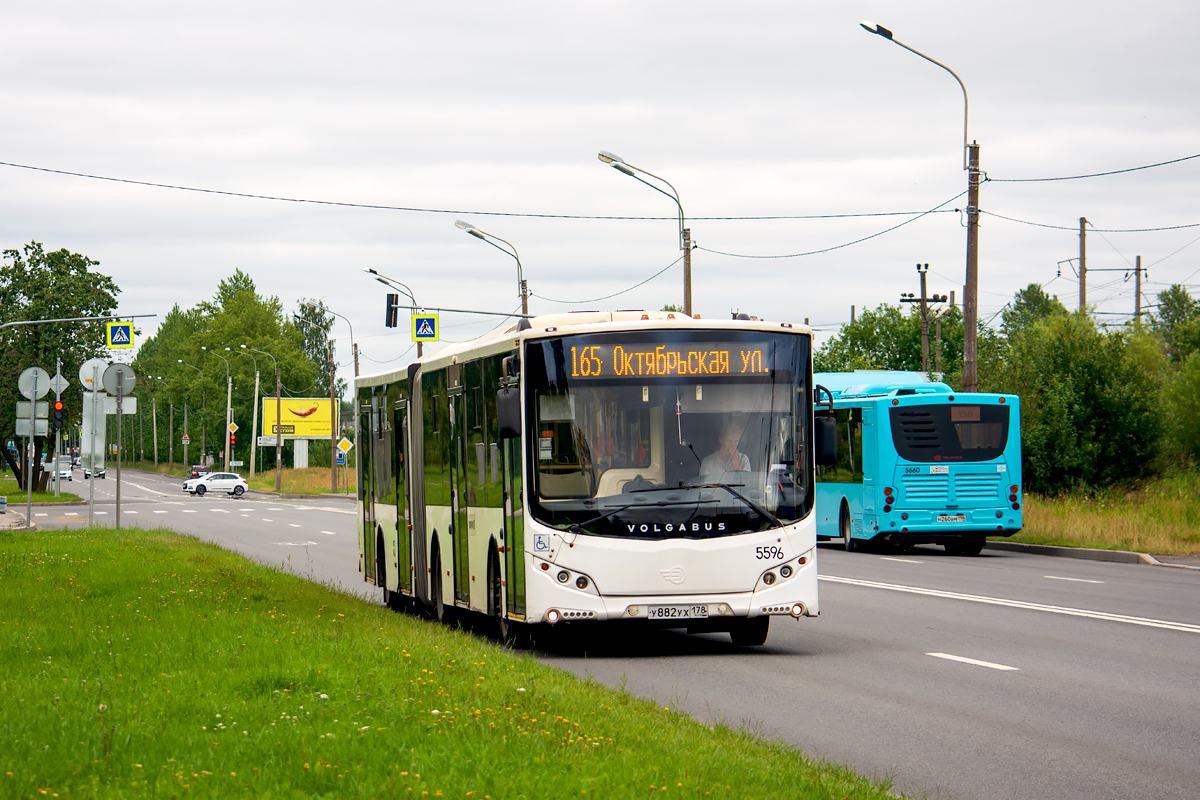 Saint Petersburg, Volgabus-6271.05 № 5596