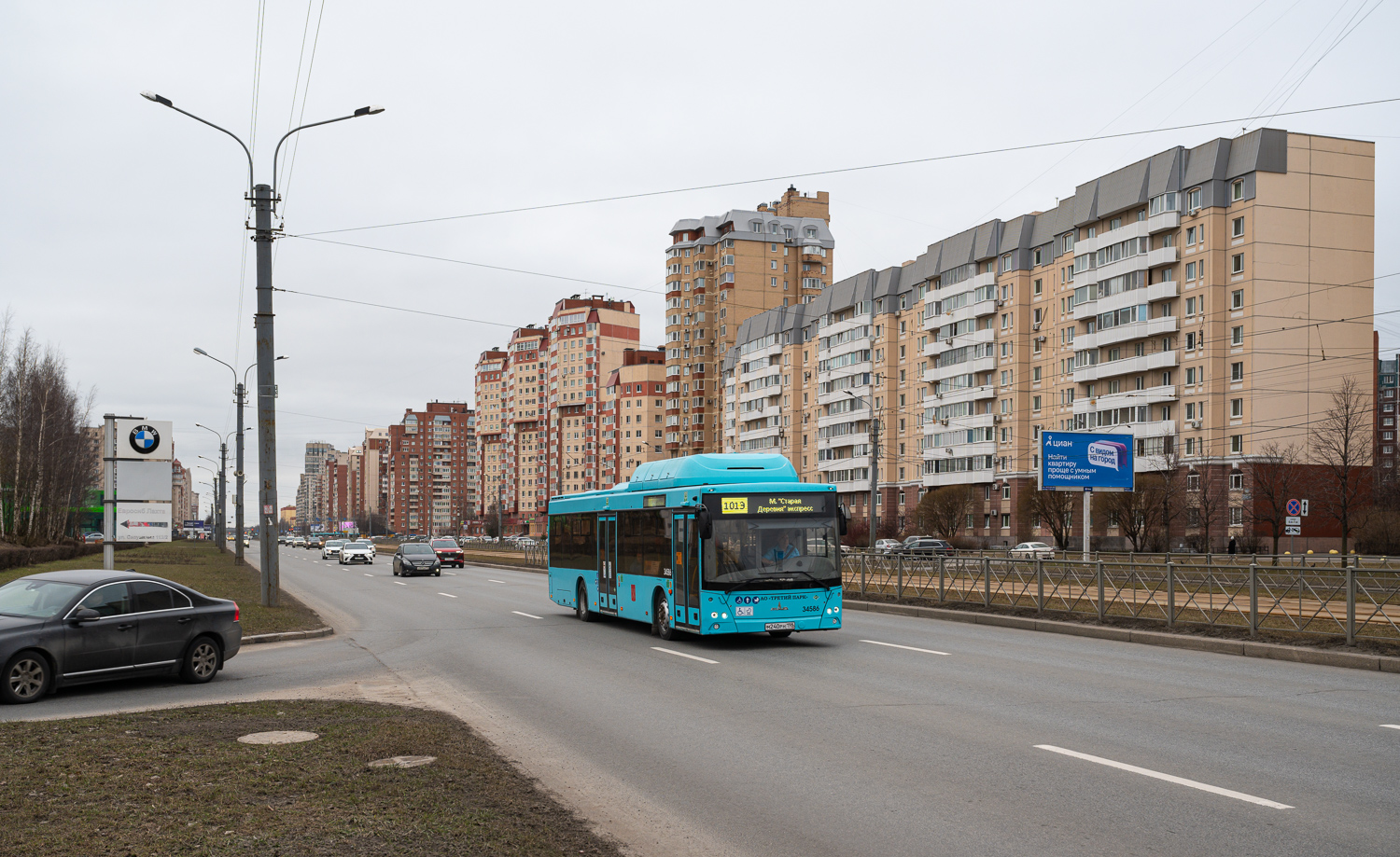 Saint Petersburg, MAZ-203.C46 # 34586