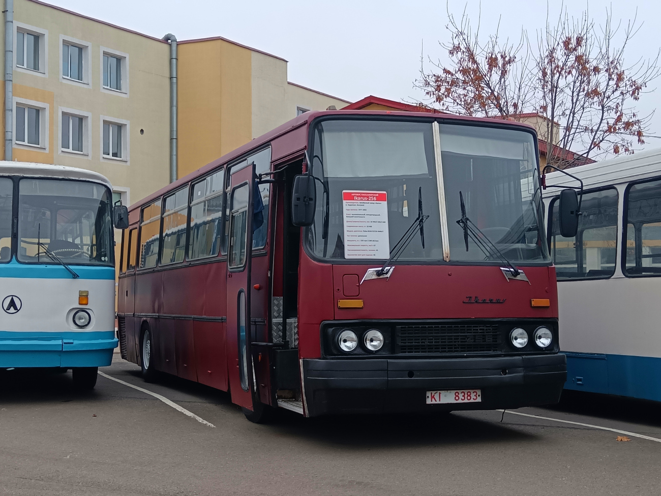 Minsk, Ikarus 256.51 # 050989