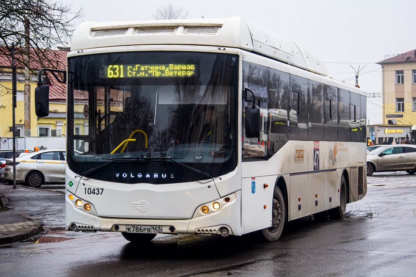 Gatchina, Volgabus-5285.G4 # 10437