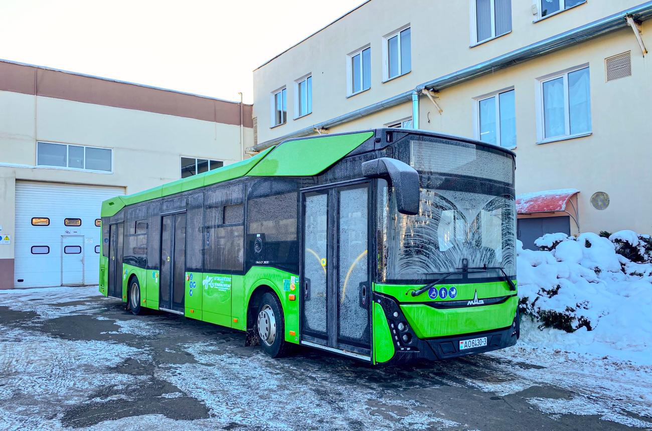 Gomiel, MAZ-303.047 # 26484