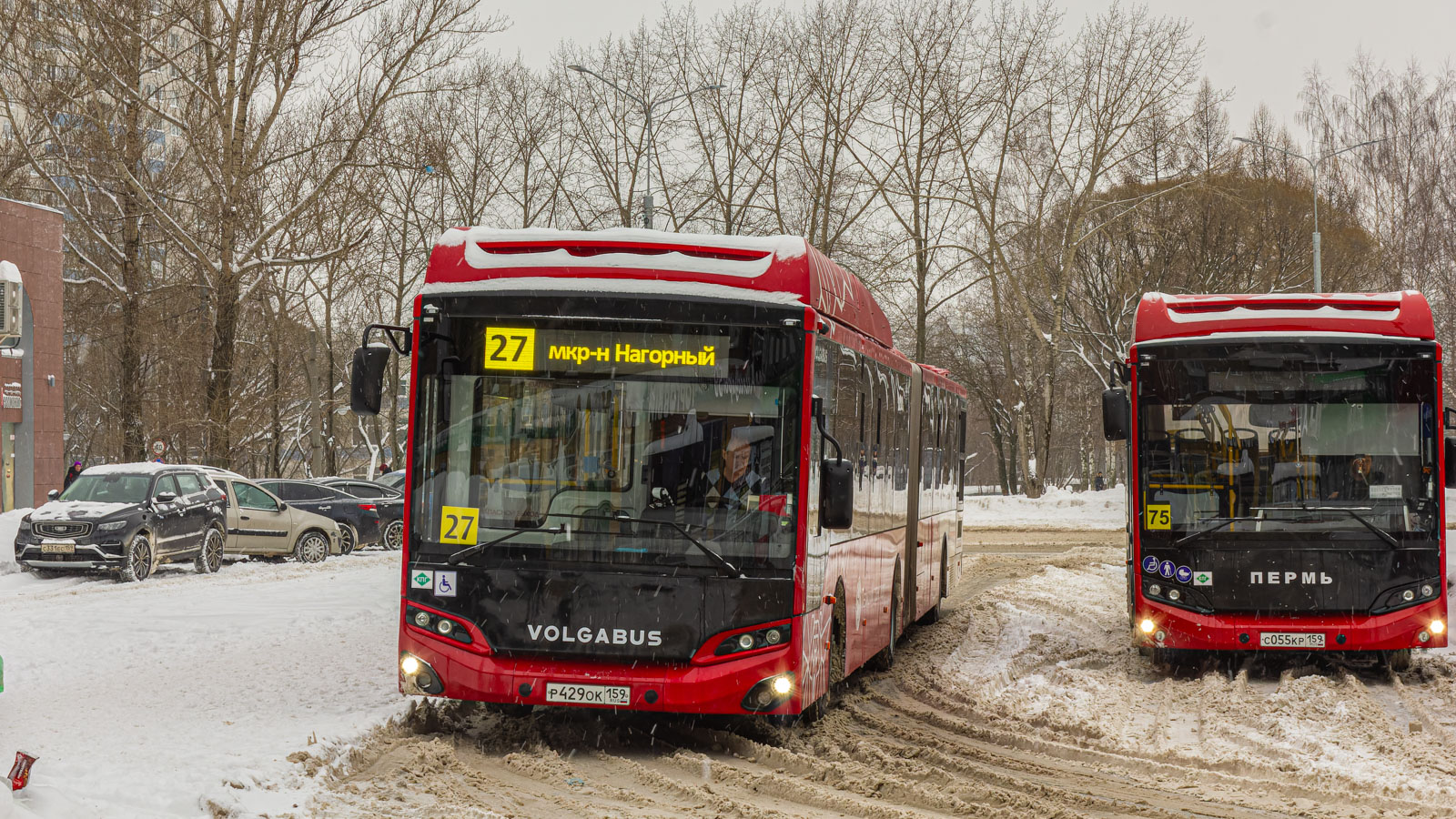 Perm, Volgabus-6271.G2 # Р 429 ОК 159