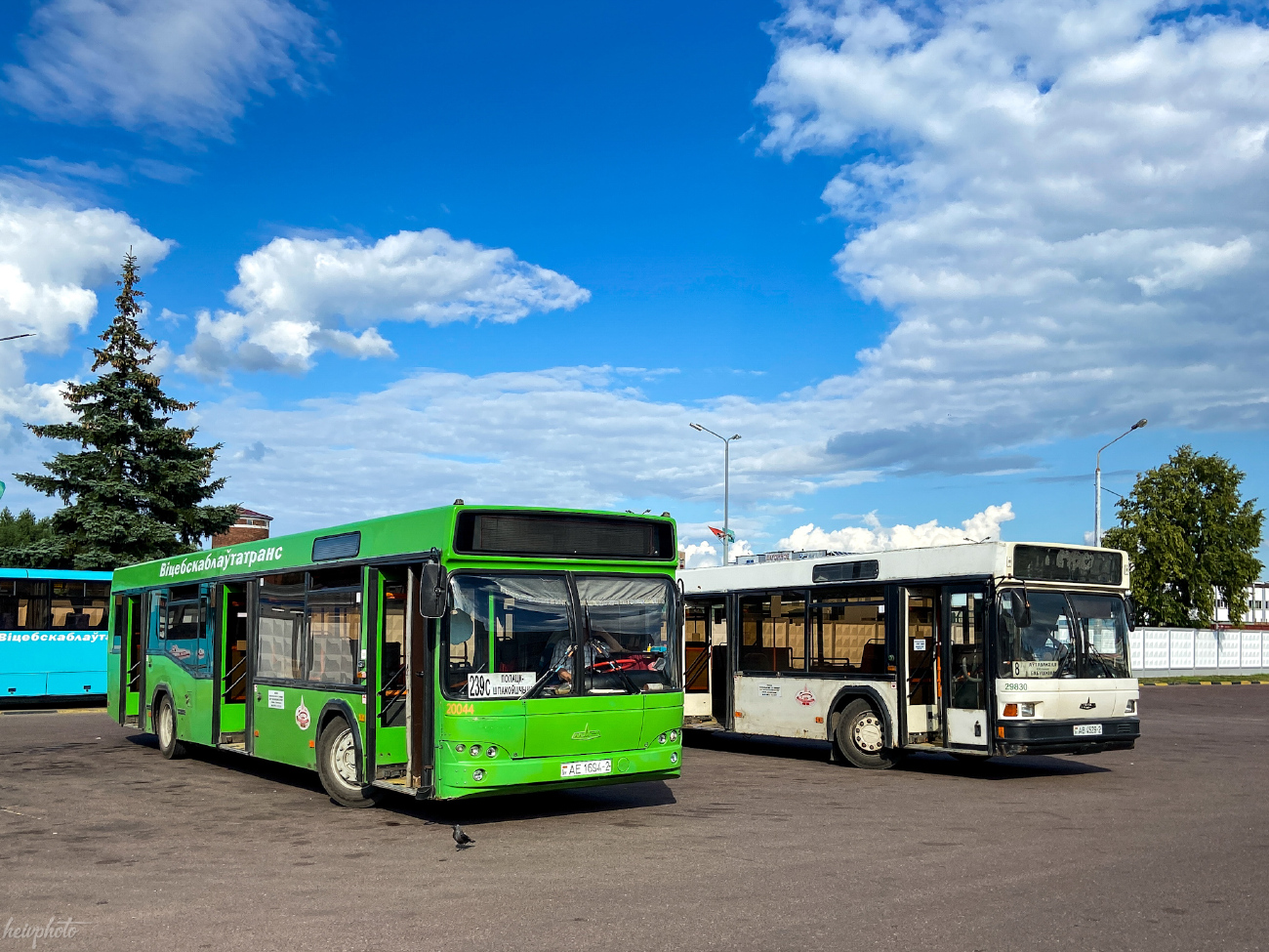 Polack, MAZ-103.465 # 020044