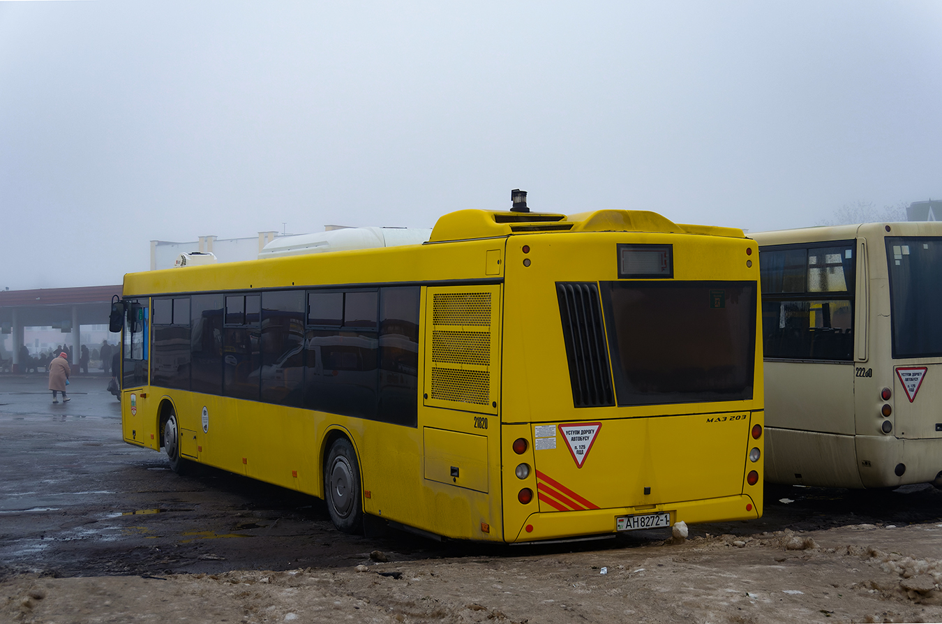 Baranavichy, MAZ-203.116 # 21820