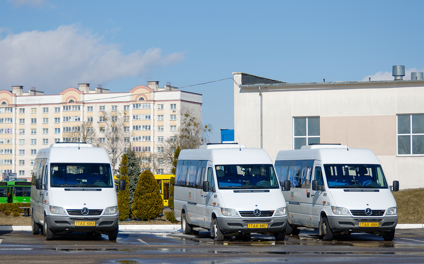 Baranavichy, Luidor-223236 (MB Sprinter Classic) # 10680; Baranavichy, Luidor-223237 (MB Sprinter Classic) # 10600