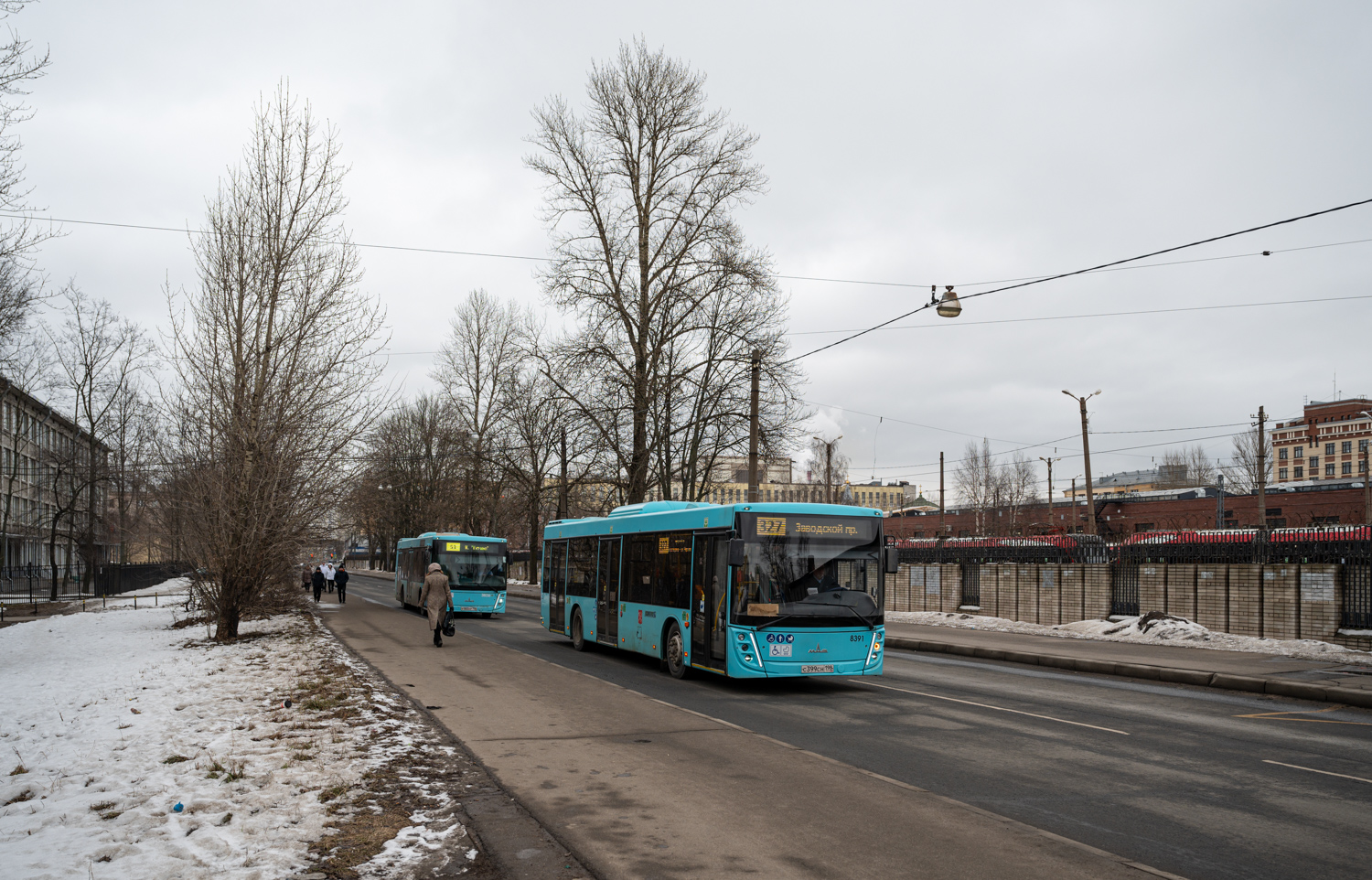 Saint Petersburg, MAZ-203.047 # 8391