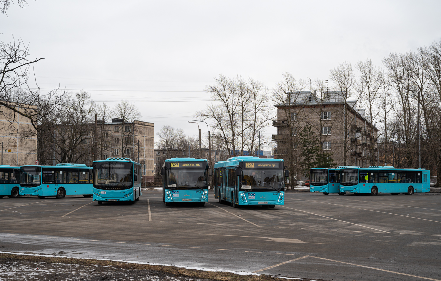 Saint Petersburg, Volgabus-5270.G4 (LNG) # 6329; Saint Petersburg, MAZ-203.047 # 8554; Saint Petersburg, MAZ-203.047 # 8436; Saint Petersburg, Volgabus-5270.G4 (LNG) # 7119
