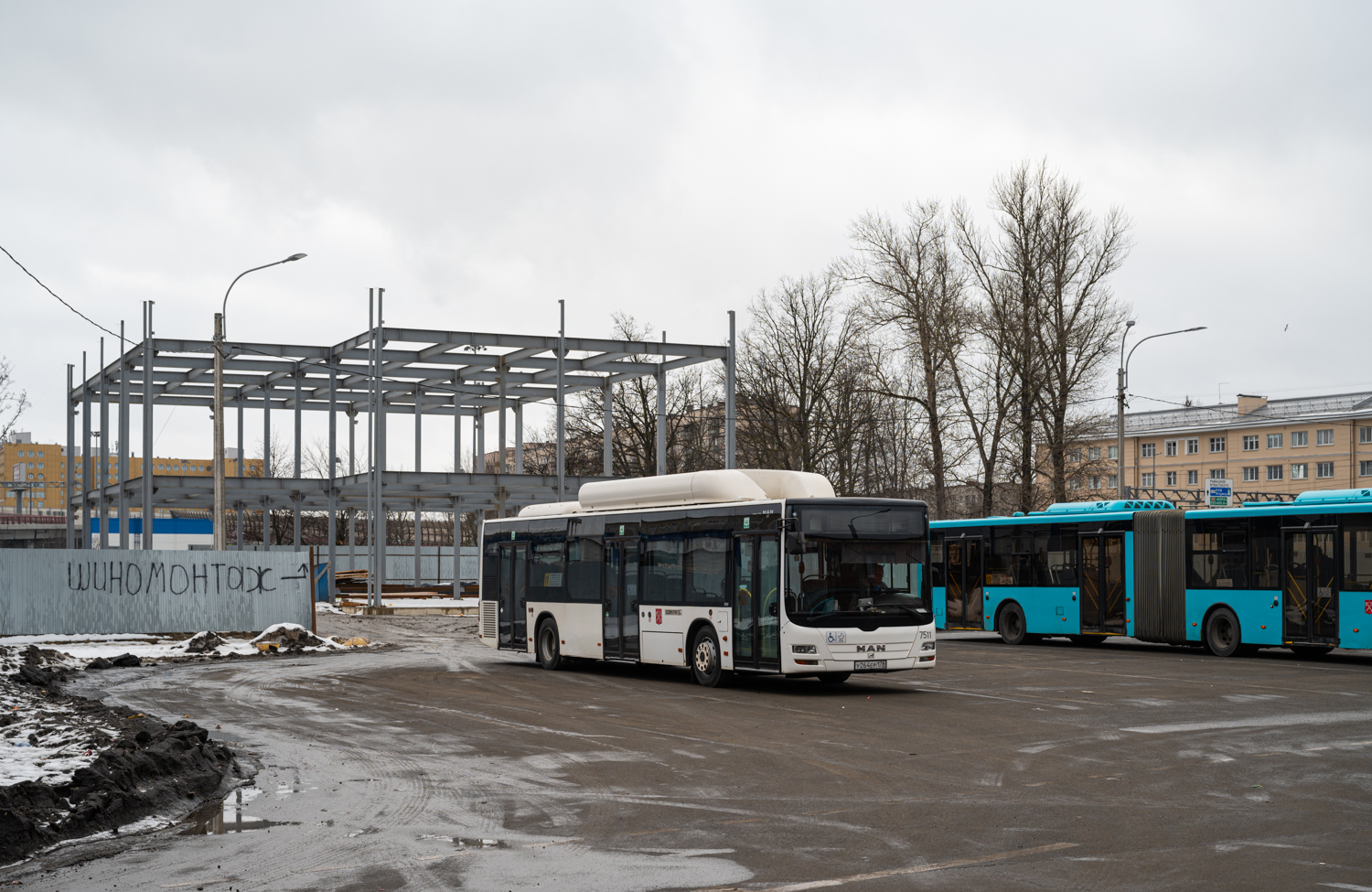 Saint Petersburg, MAN A21 Lion's City NL313 CNG # 7511