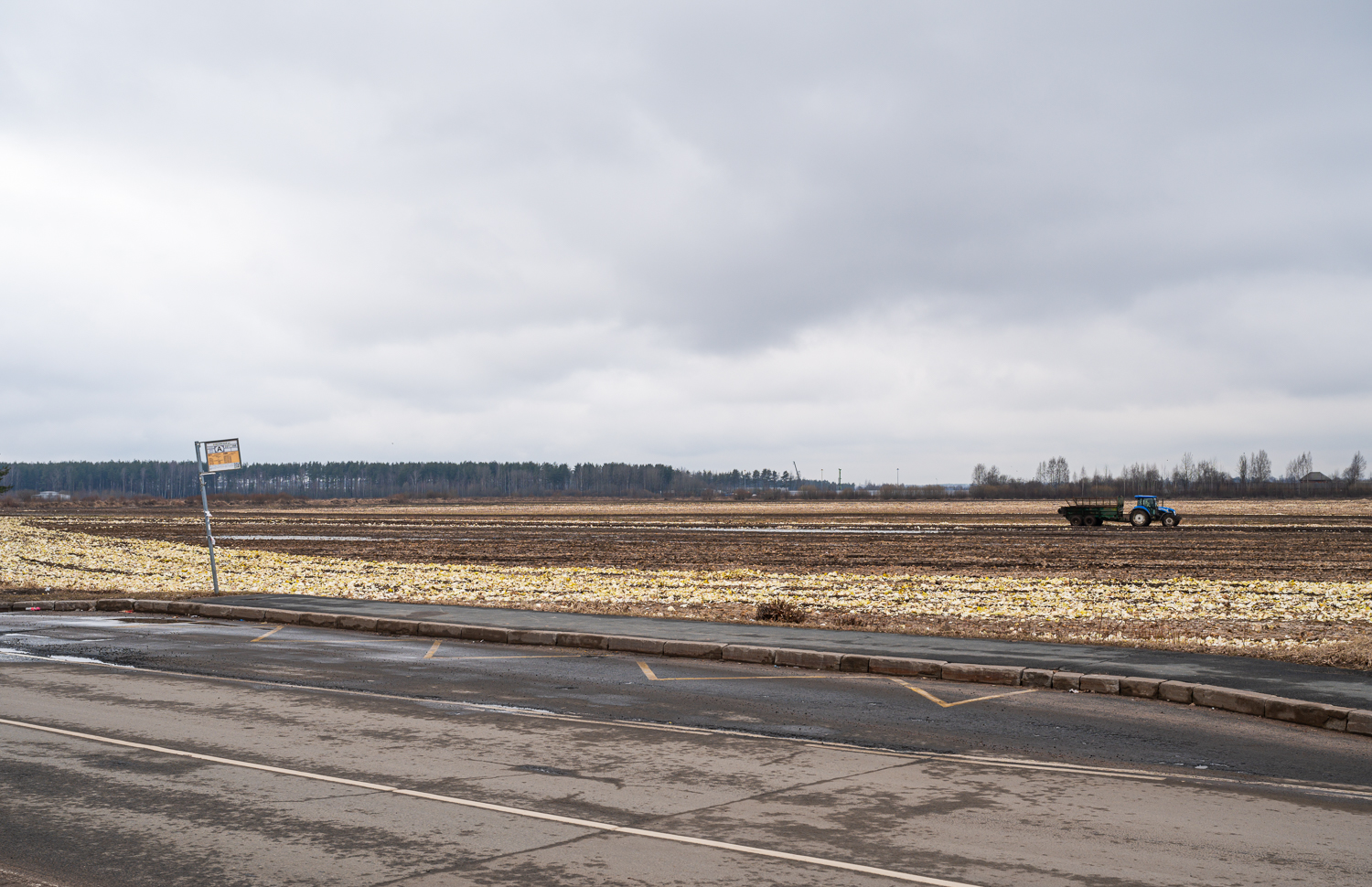 Saint Petersburg — Lines and Infrastructure