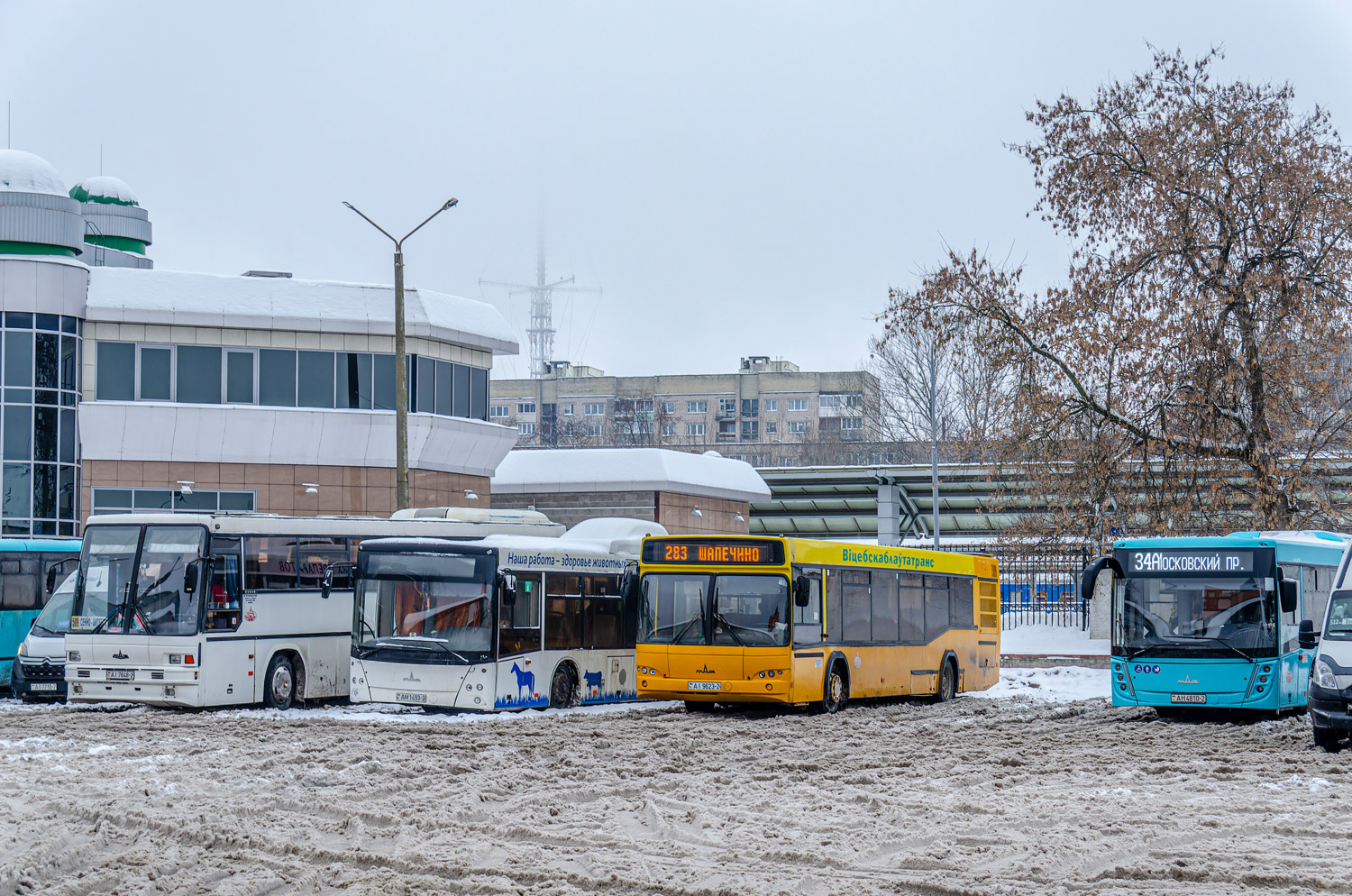 Віцебск, МАЗ-103.585 № 022837