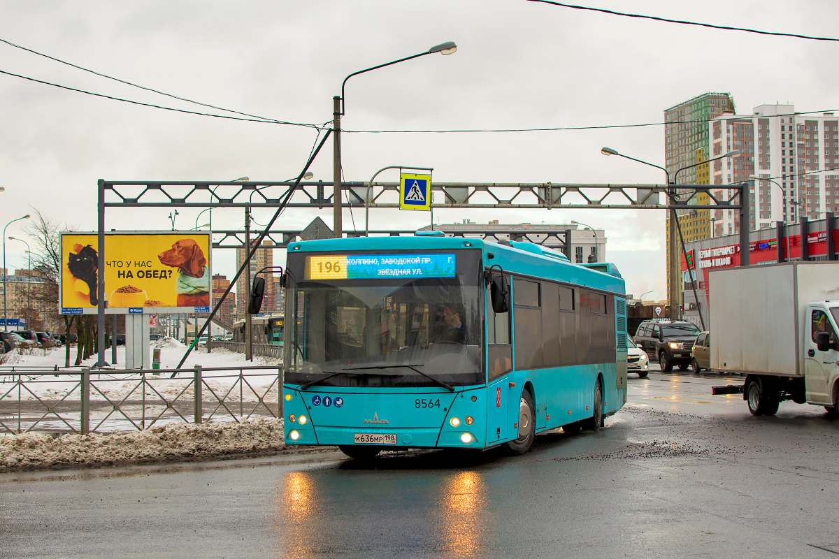 Saint Petersburg, MAZ-203.016 # 8564