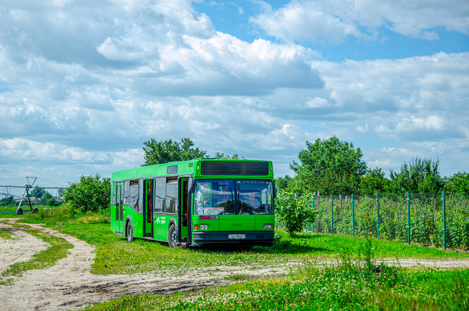 Gomiel, MAZ-103.062 # 11631
