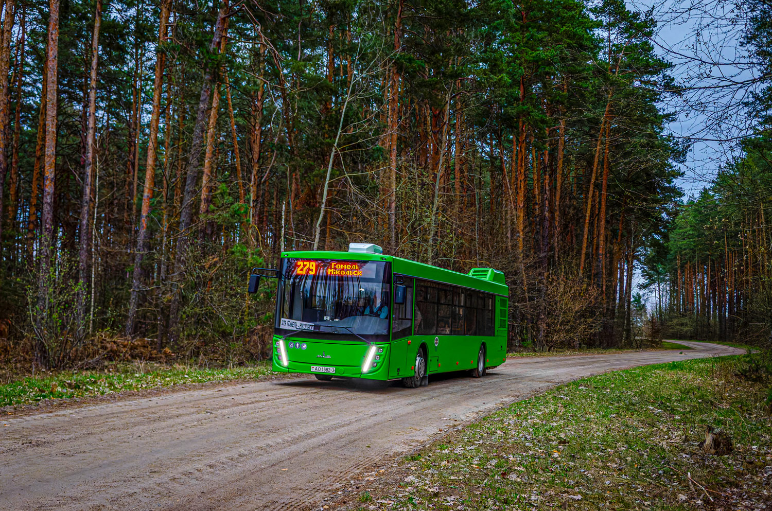 Gomiel, MAZ-203.047 Nr. 016331