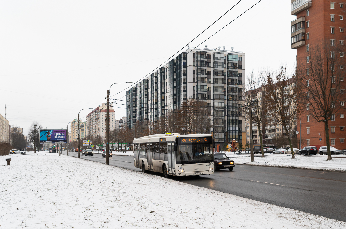 Saint Petersburg, MAZ-203.085 # 8427