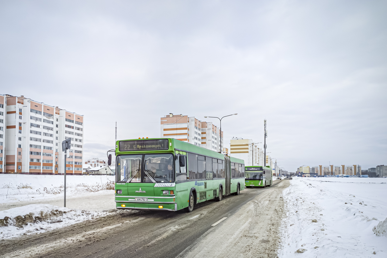 Zhlobin, MAZ-105.065 # 20338