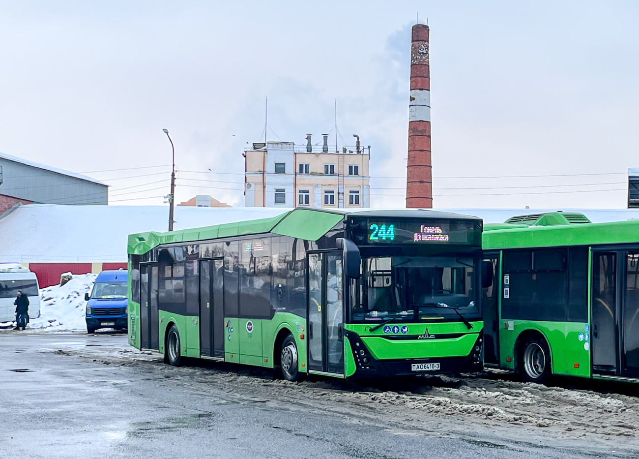 Gomiel, MAZ-303.047 # 037648
