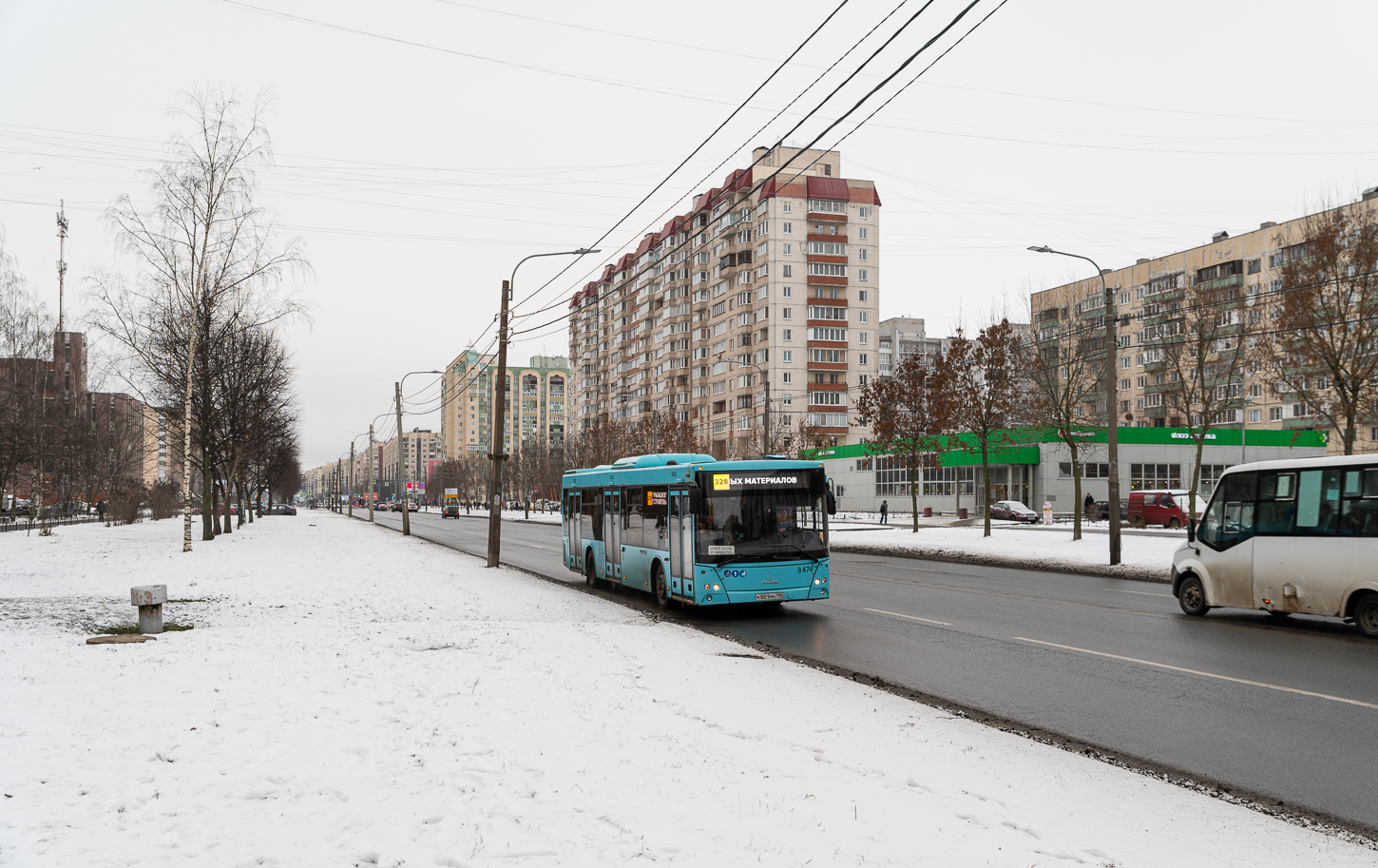 Saint Petersburg, MAZ-203.016 # 8474