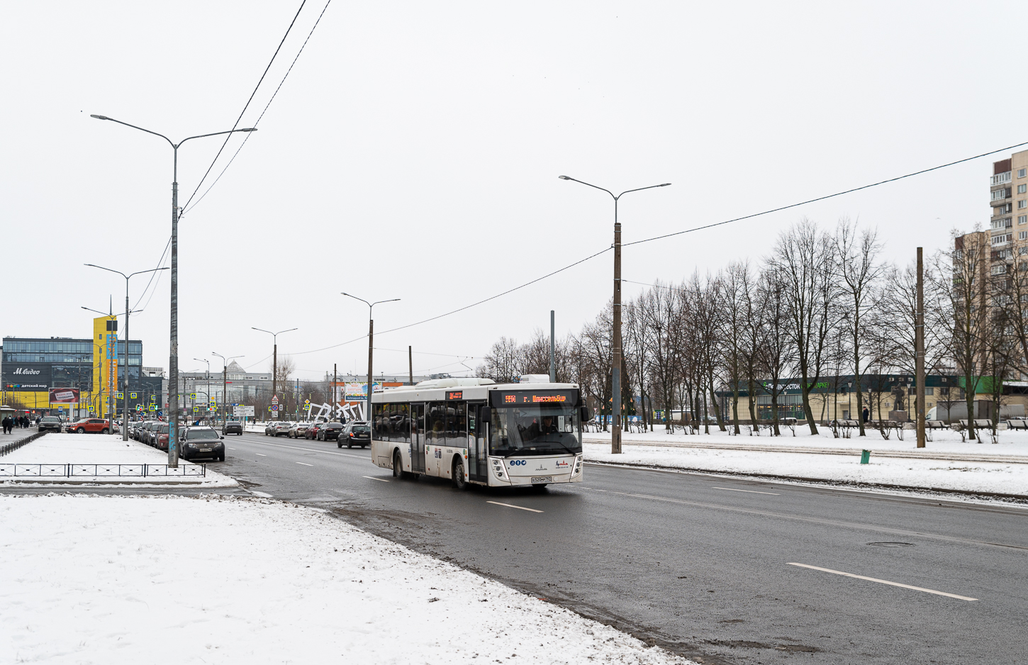 Otradnoye, MAZ-203.147 # Е 520 МР 147
