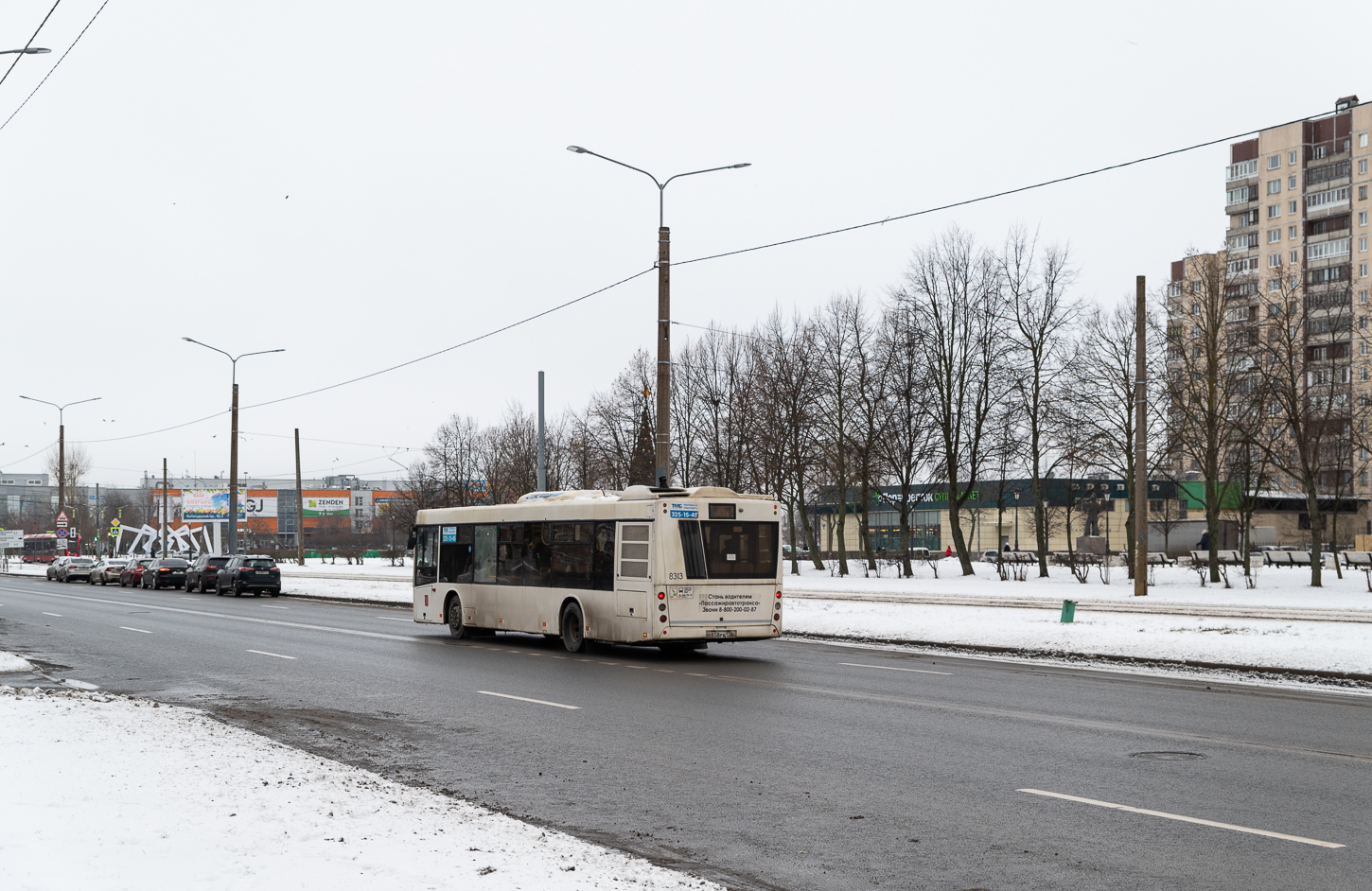 Saint Petersburg, MAZ-203.085 # 8313