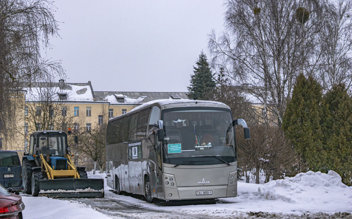 Pinsk, MAZ-251.050 # АІ 8650-1