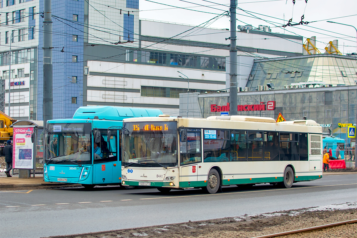 Saint Petersburg, MAZ-203.085 # 8441