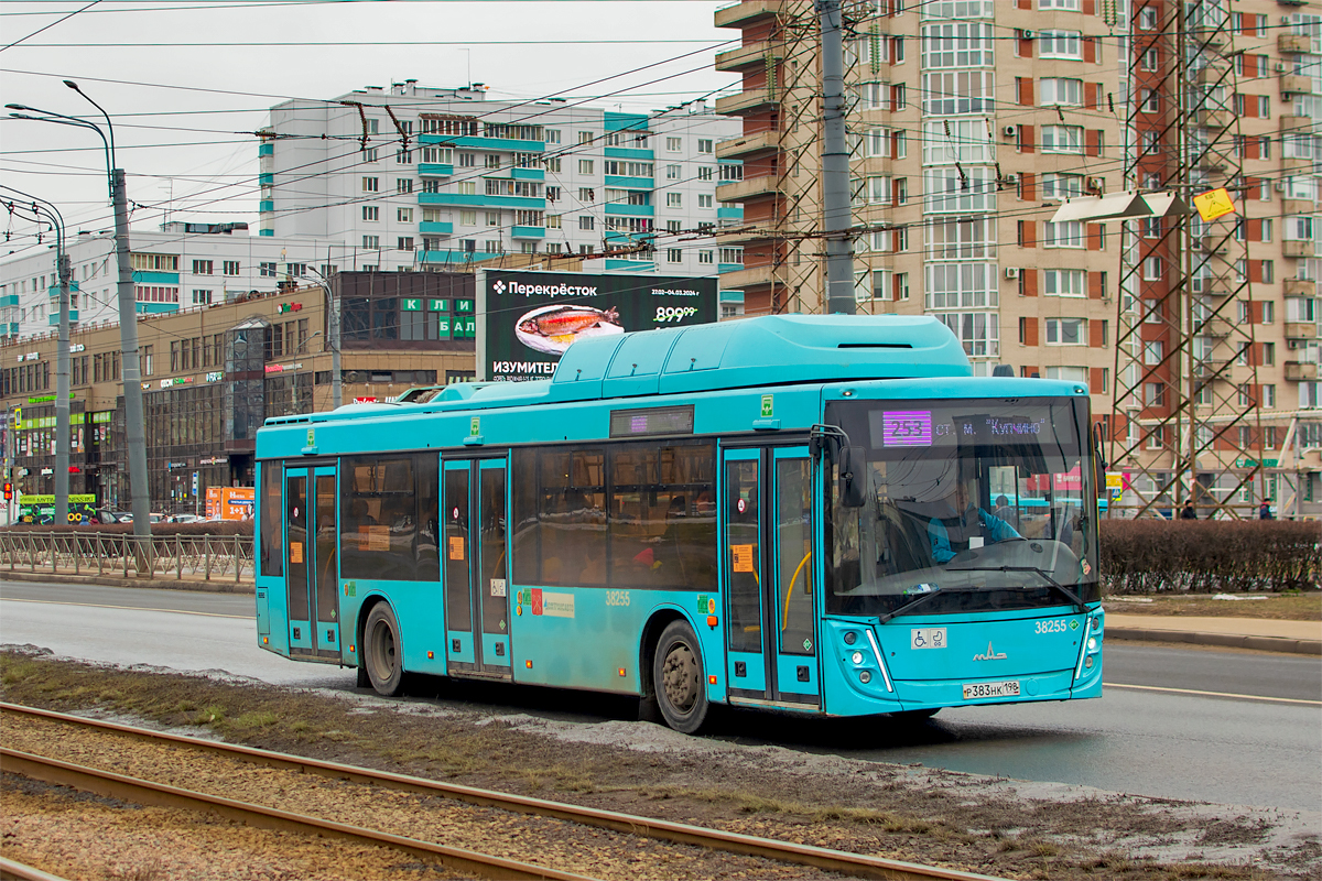 Saint Petersburg, MAZ-203.948 # 38255