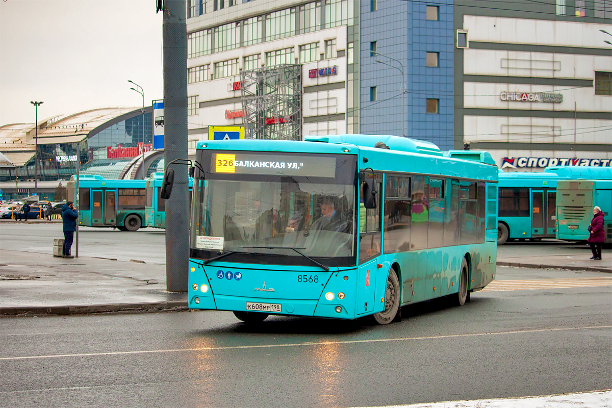 Saint Petersburg, MAZ-203.016 # 8568