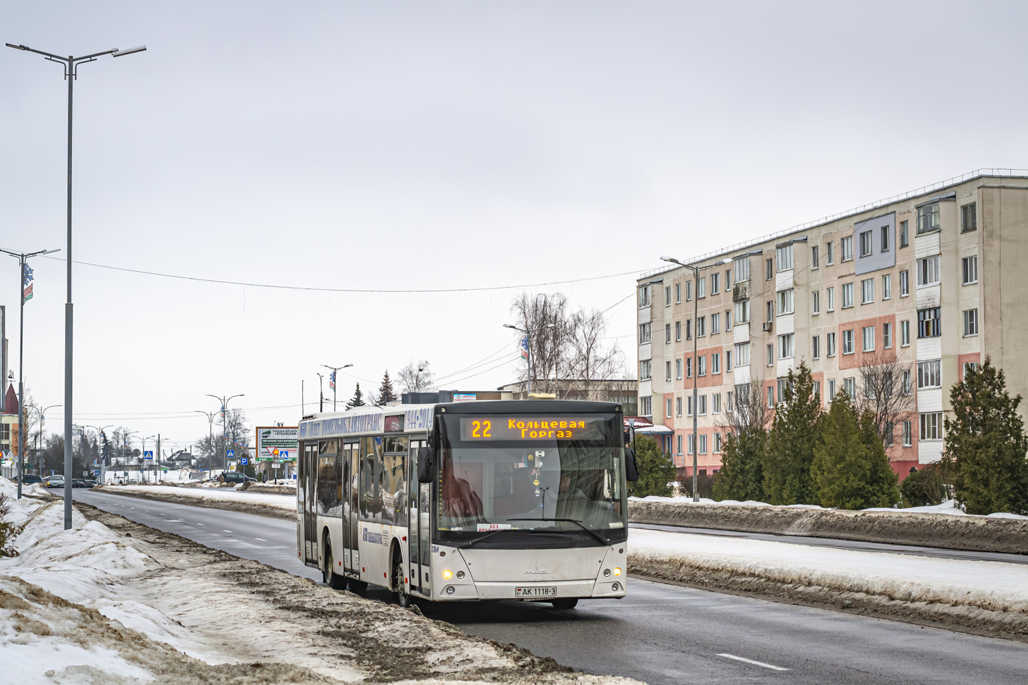 Zhlobin, MAZ-203.065 # 20184